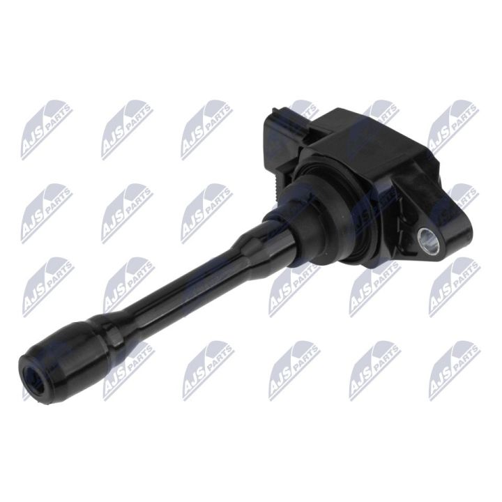 Ritė, uždegimas NTY ECZ-RE-025