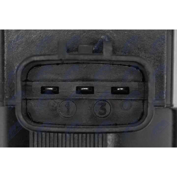 Ritė, uždegimas NTY ECZ-RE-025