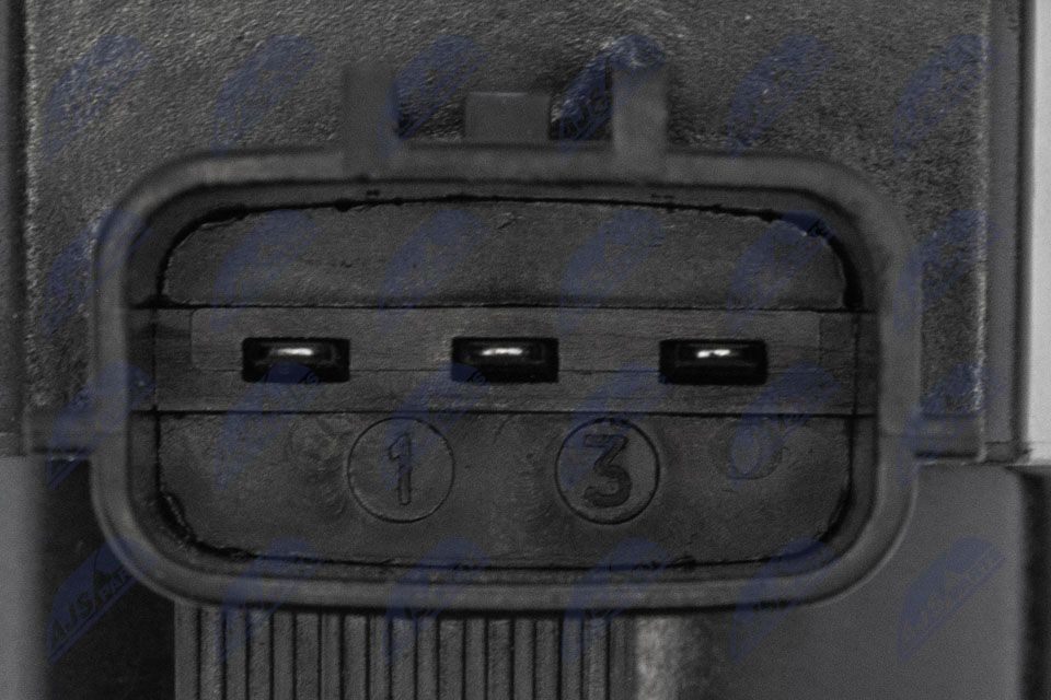 Ritė, uždegimas NTY ECZ-RE-025