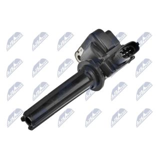 Ritė, uždegimas NTY ECZ-SA-002