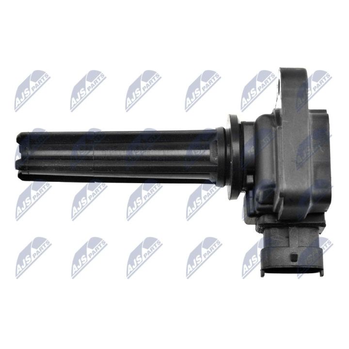 Ritė, uždegimas NTY ECZ-SA-002