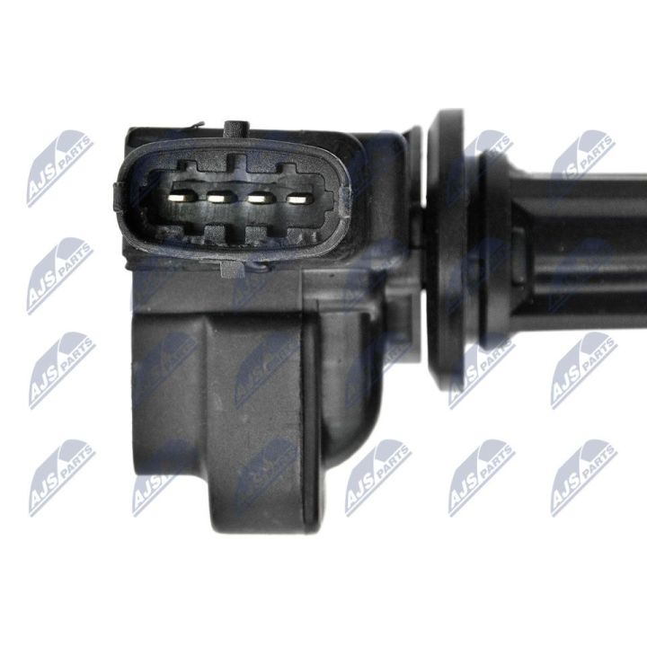 Ritė, uždegimas NTY ECZ-SA-002