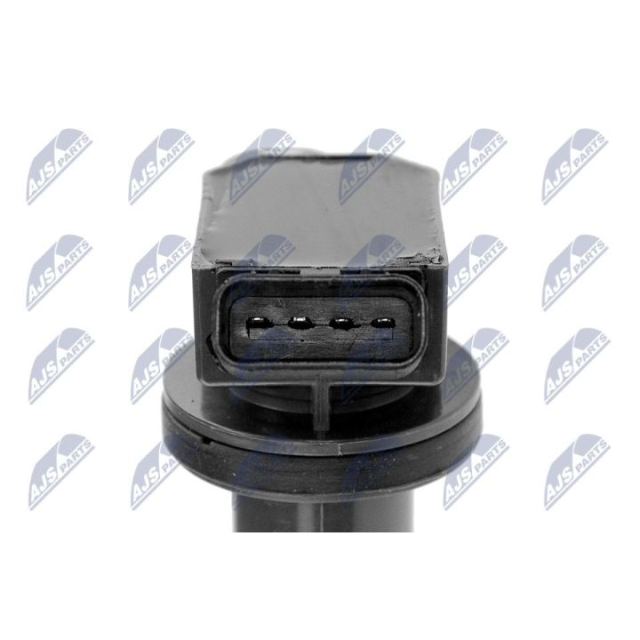 Ritė, uždegimas NTY ECZ-TY-003