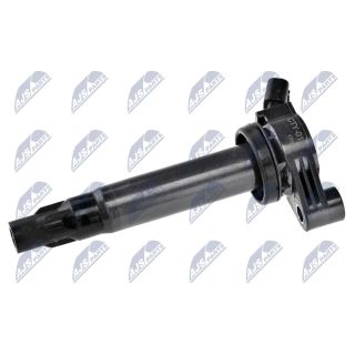 Ritė, uždegimas NTY ECZ-TY-018