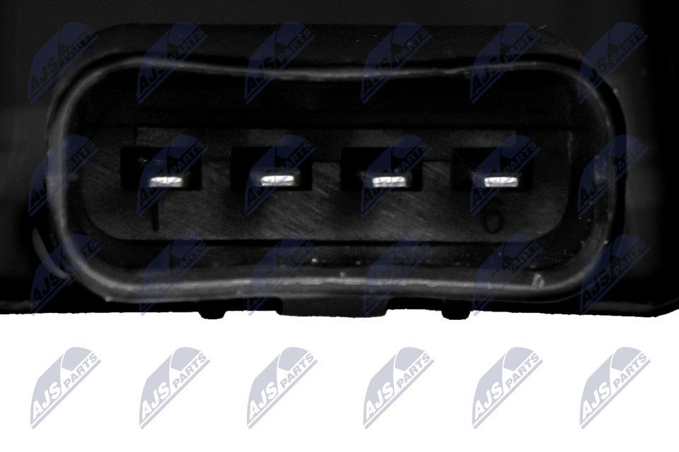 Ritė, uždegimas NTY ECZ-TY-028