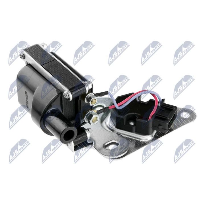 Ritė, uždegimas NTY ECZ-VV-000