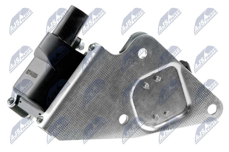 Ritė, uždegimas NTY ECZ-VV-000