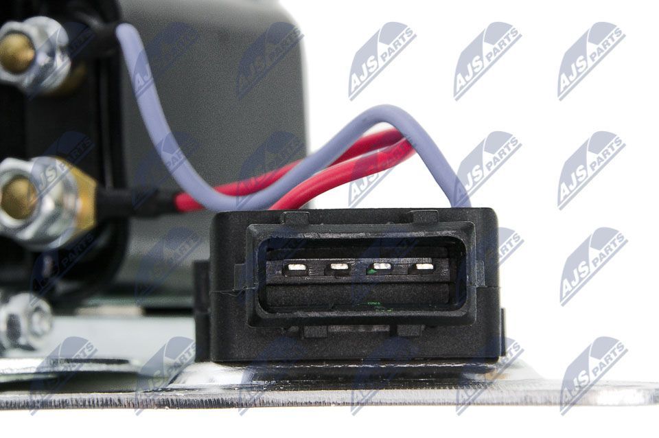 Ritė, uždegimas NTY ECZ-VV-000