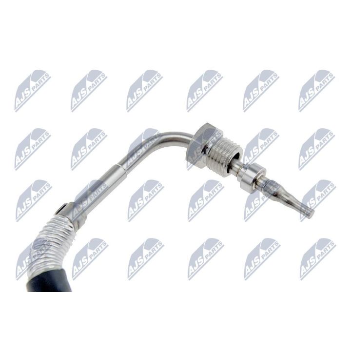 Ritė, uždegimas NTY EGT-FT-035