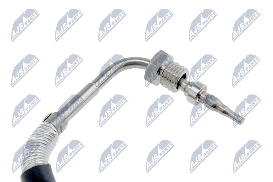 Ritė, uždegimas NTY EGT-FT-035