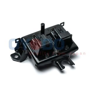 Ritė, uždegimas Oyodo 70E3031-OYO