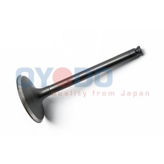 įvado vožtuvas Oyodo 70M5013-TYO