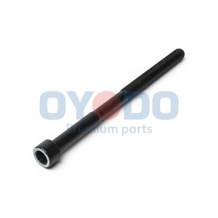 Cilindro galvutės varžtas Oyodo 93M0301-OYO