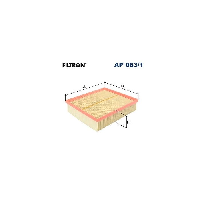 Oro filtras FILTRON AP 063/1