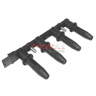 Ritė, uždegimas METZGER 0880012