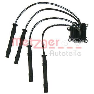 Ritė, uždegimas METZGER 0880022