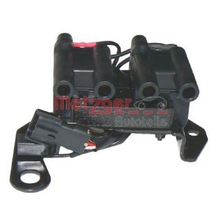 Ritė, uždegimas METZGER 0880049