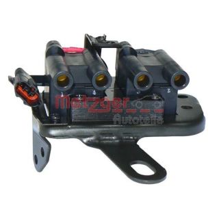 Ritė, uždegimas METZGER 0880056