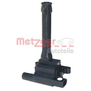 Ritė, uždegimas METZGER 0880090