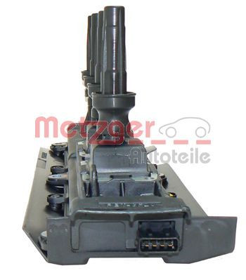 Ritė, uždegimas METZGER 0880092