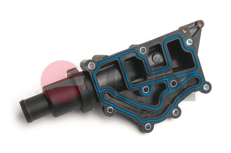 Termostatas, aušinimo skystis JPN 20C9091-JPN