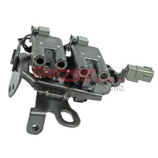 Ritė, uždegimas METZGER 0880121