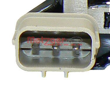 Ritė, uždegimas METZGER 0880124