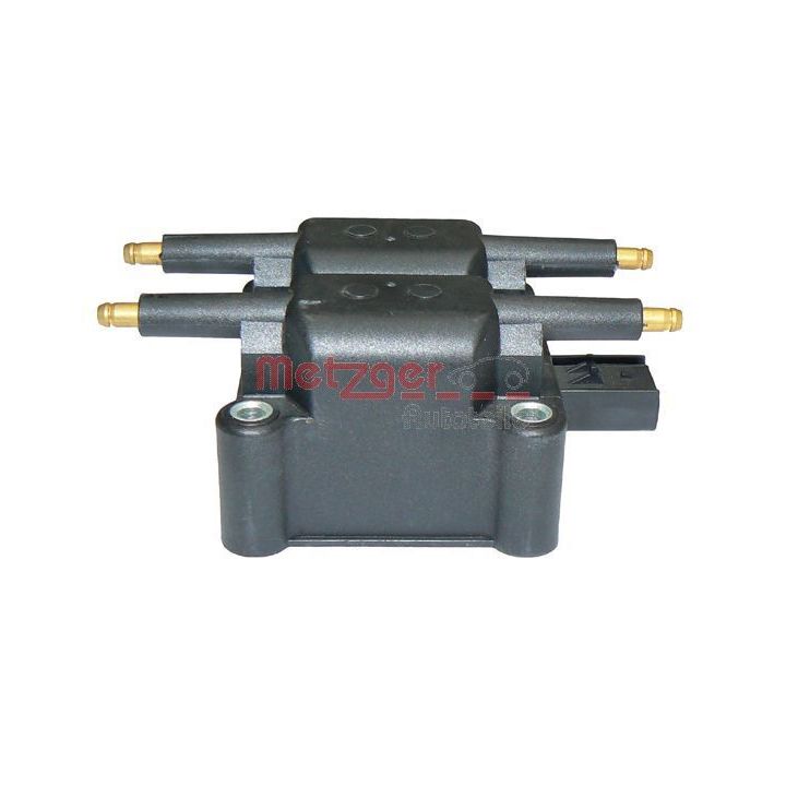 Ritė, uždegimas METZGER 0880130