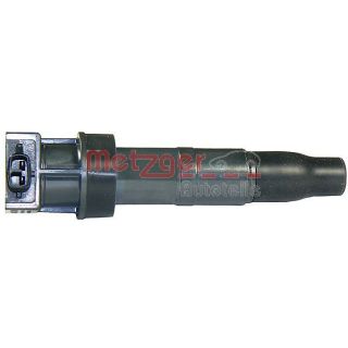 Ritė, uždegimas METZGER 0880178