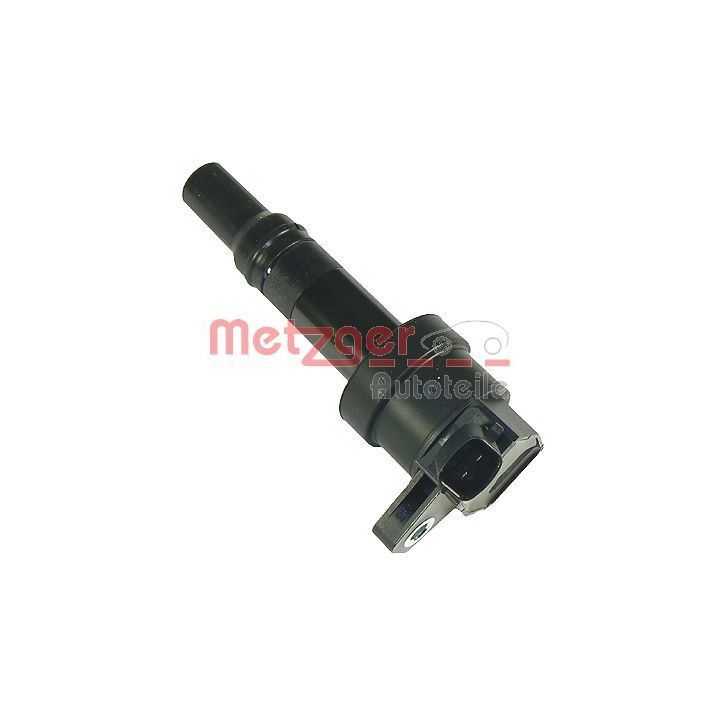 Ritė, uždegimas METZGER 0880183