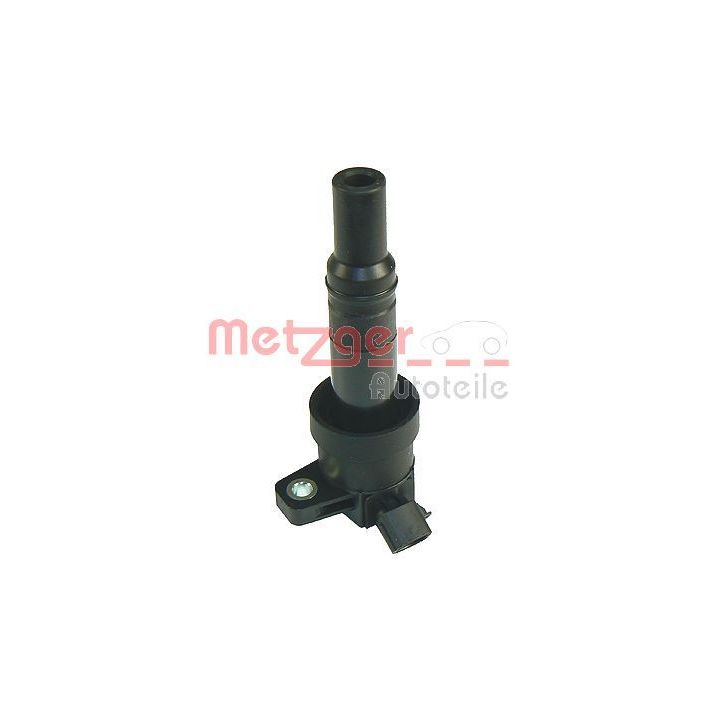 Ritė, uždegimas METZGER 0880183