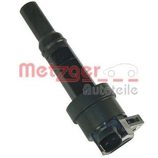 Ritė, uždegimas METZGER 0880184