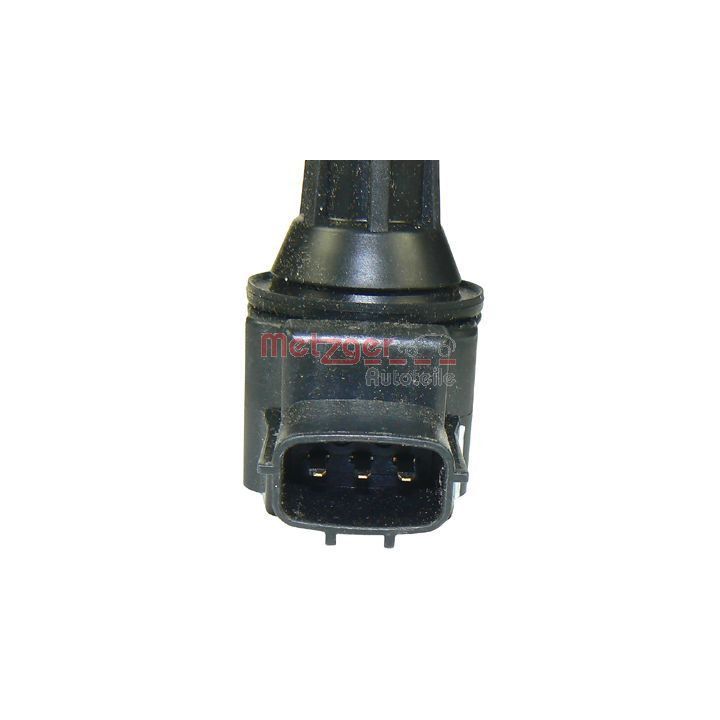 Ritė, uždegimas METZGER 0880187