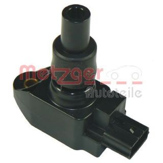 Ritė, uždegimas METZGER 0880188