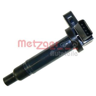 Ritė, uždegimas METZGER 0880206