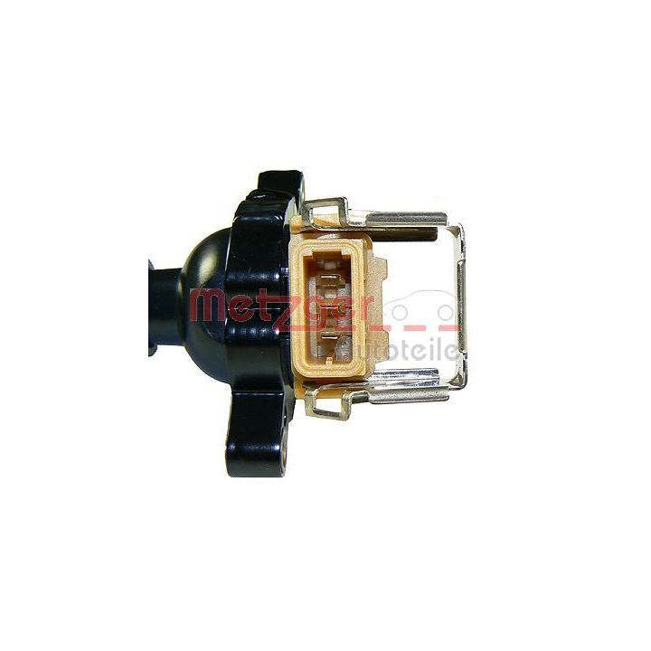 Ritė, uždegimas METZGER 0880252