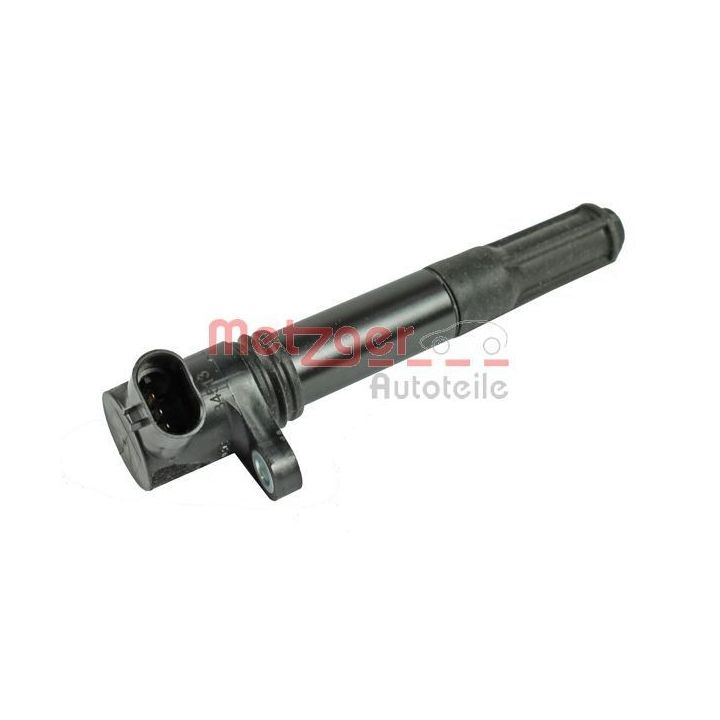 Ritė, uždegimas METZGER 0880357