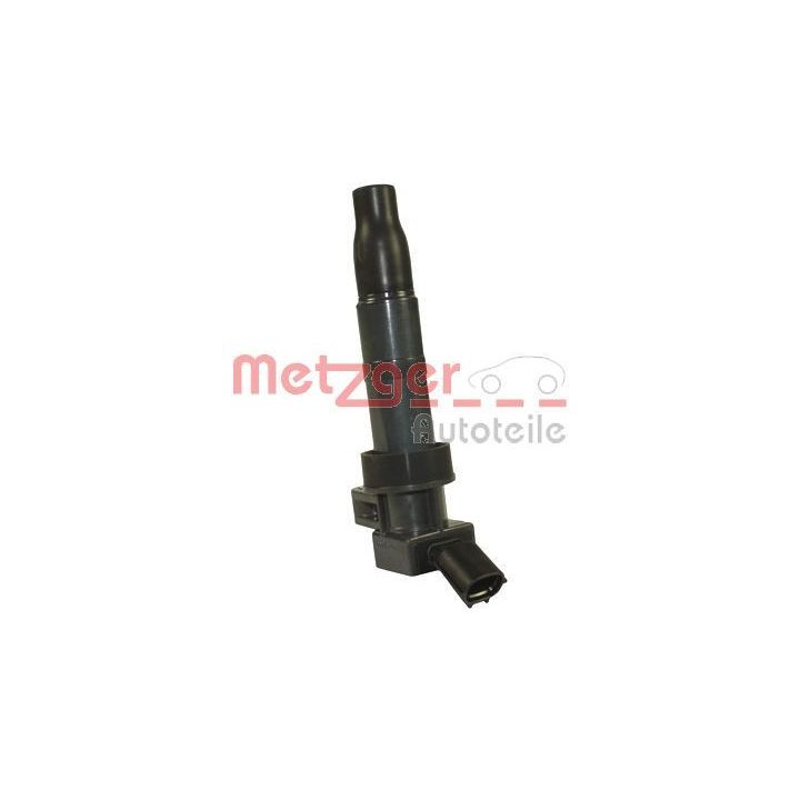 Ritė, uždegimas METZGER 0880407