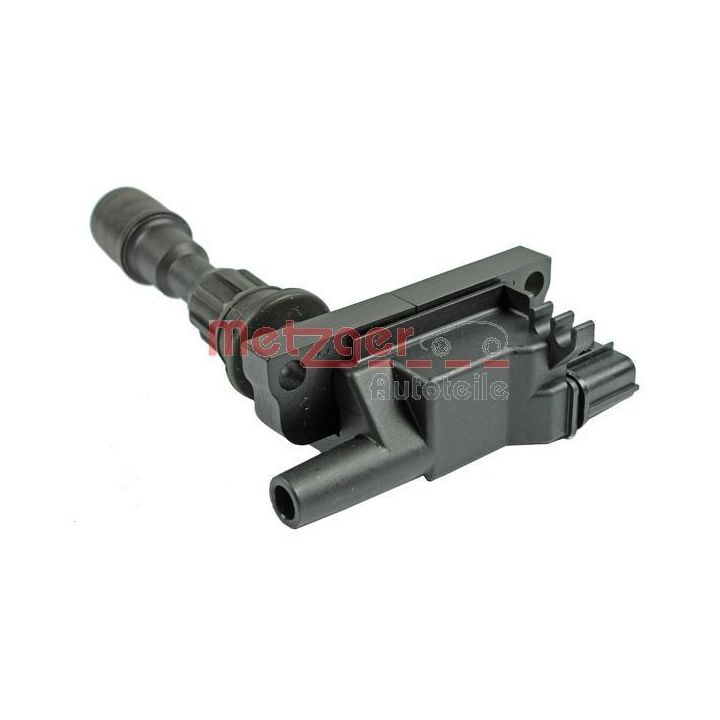 Ritė, uždegimas METZGER 0880409