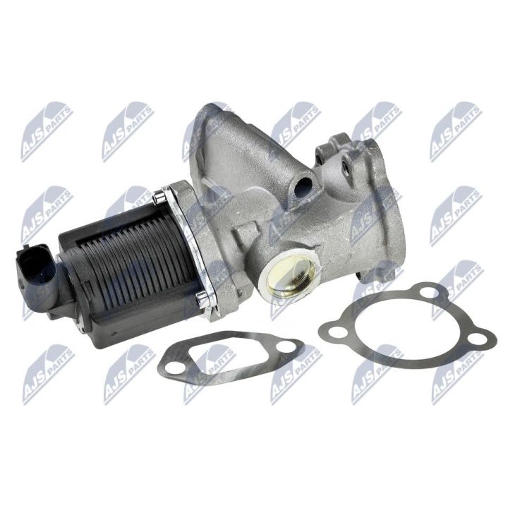 ERG vožtuvas NTY EGR-PL-004