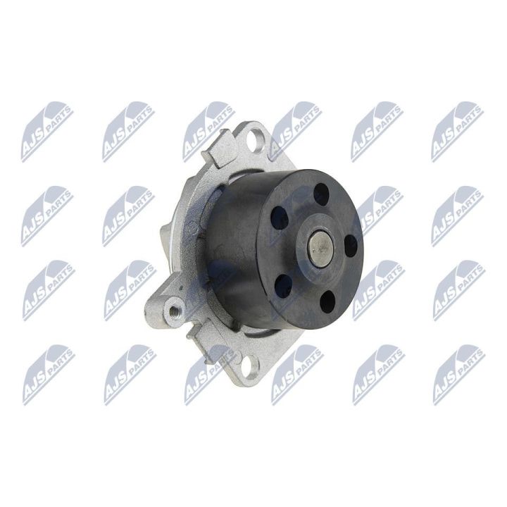 Vandens siurblys, variklio aušinimas NTY CPW-AR-018