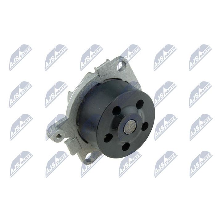 Vandens siurblys, variklio aušinimas NTY CPW-AR-019