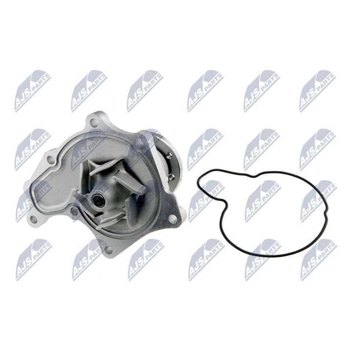 Vandens siurblys, variklio aušinimas NTY CPW-IS-006