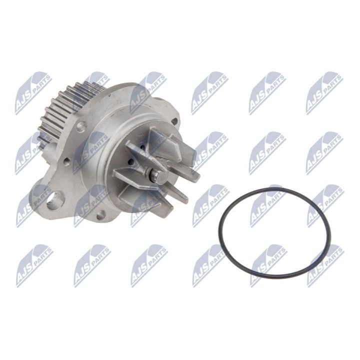 Vandens siurblys, variklio aušinimas NTY CPW-PE-014