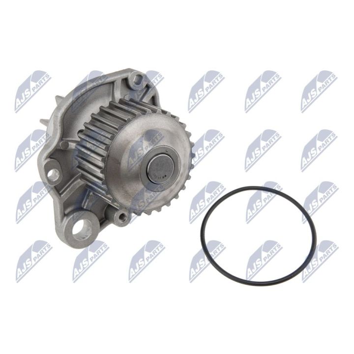 Vandens siurblys, variklio aušinimas NTY CPW-PE-014