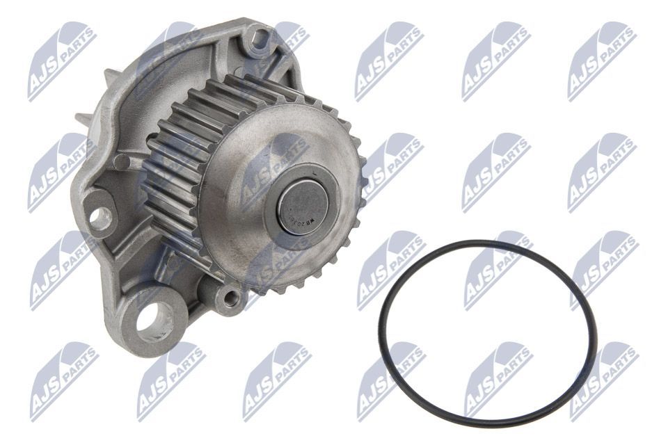 Vandens siurblys, variklio aušinimas NTY CPW-PE-014