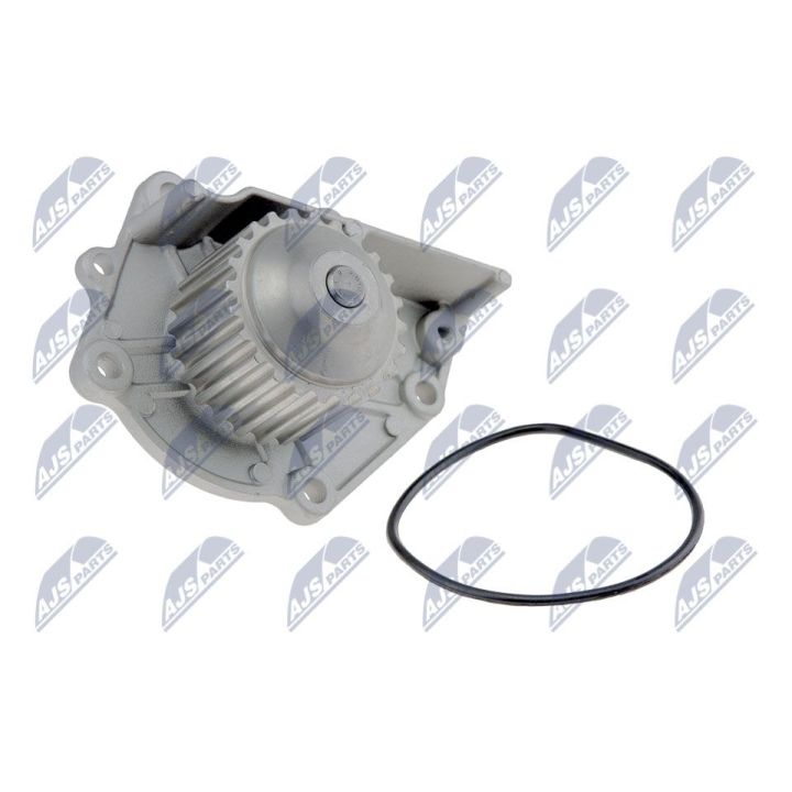 Vandens siurblys, variklio aušinimas NTY CPW-RV-006