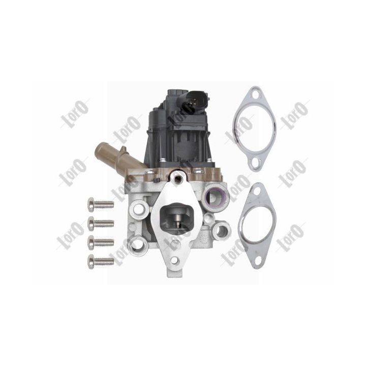 ERG vožtuvas ABAKUS 121-01-054