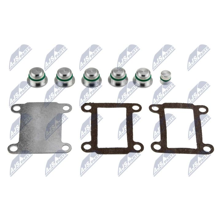 įsiurbimo kolektoriaus modulis NTY BKS-FT-005A