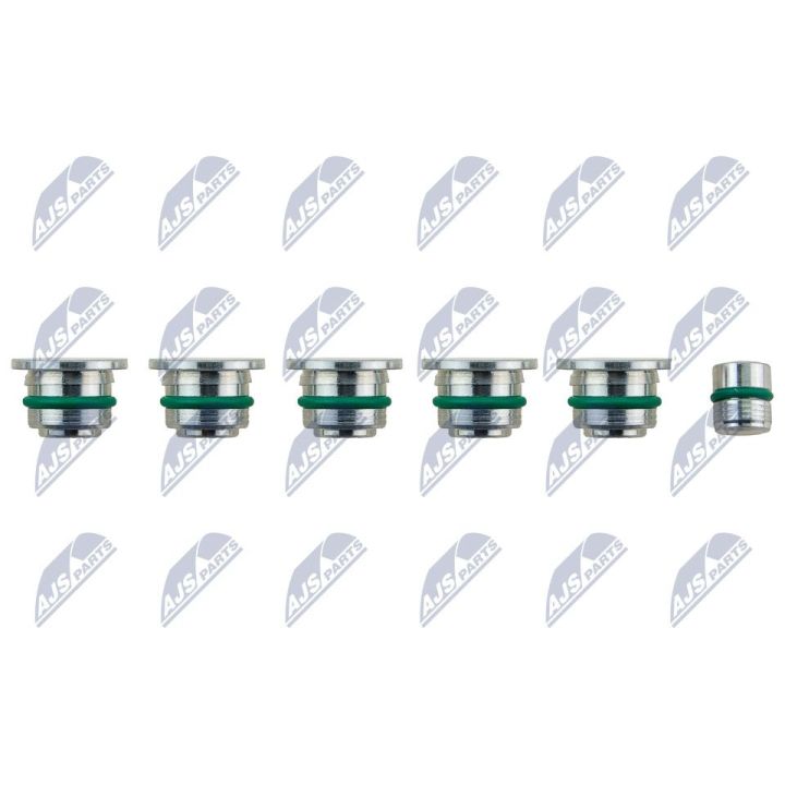 įsiurbimo kolektoriaus modulis NTY BKS-FT-009